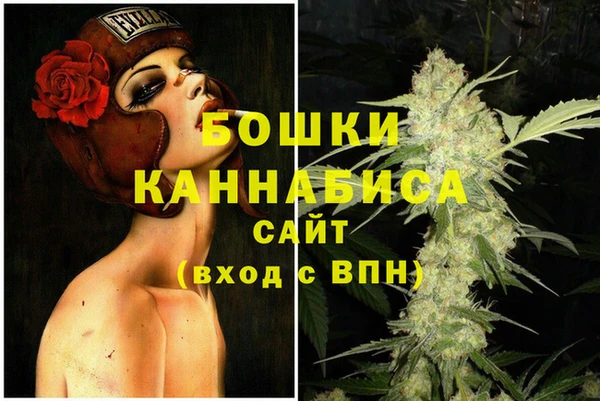 меф Ельня