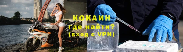 меф Ельня