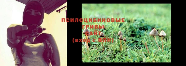 винт Елизово