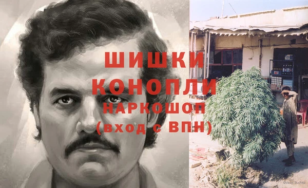 винт Елизово