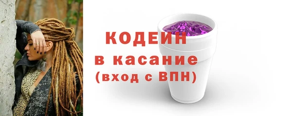 меф Ельня