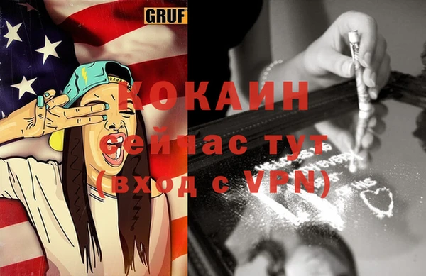 меф Ельня