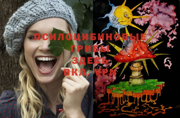 винт Елизово