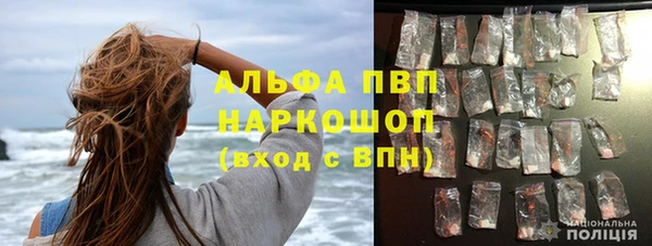 молекула духа Заволжск