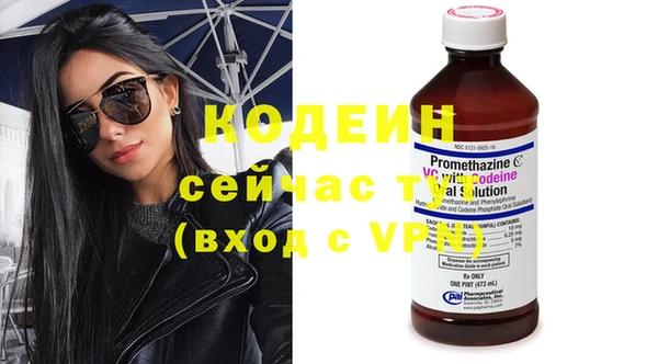 меф Ельня