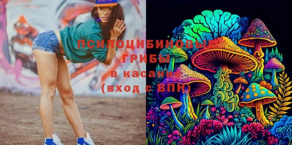 меф Ельня