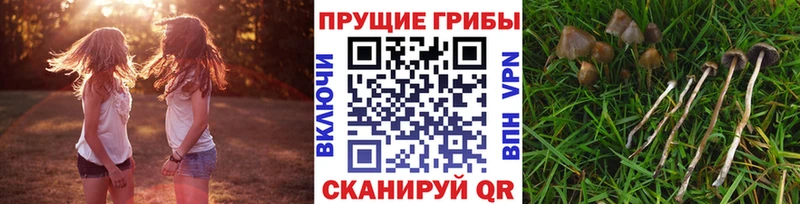 Галлюциногенные грибы MAGIC MUSHROOMS Зуевка